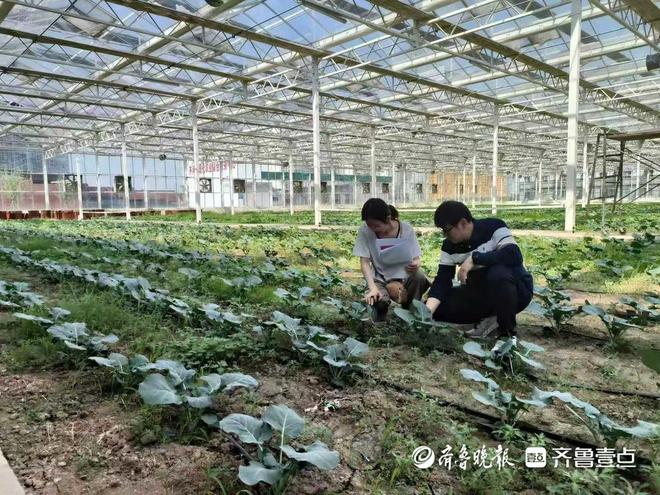 齐河县审计局：“大兵团”作战提升审计质效